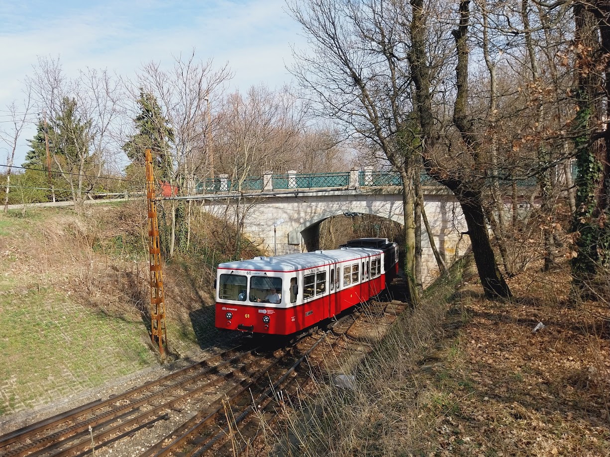 Cog wheel railway